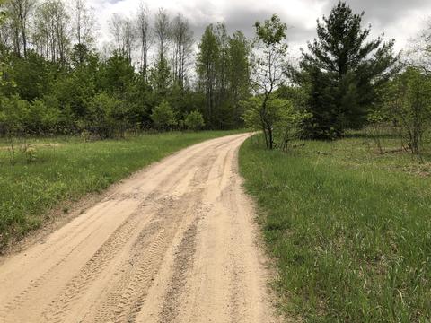 8873 N Deer Trail Frederic Mi 49733 Trl, Frederic, MI 49733 photo 42