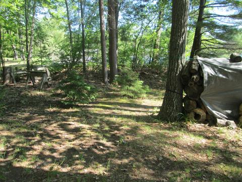 2261 Fleming Road Lewiston Mi 49756 Rd, Lewiston, MI 49756 photo 33
