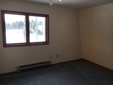8396 Luce St, Alanson, MI 49706 photo 19