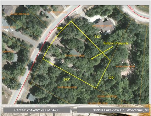 15913 Lakeview Dr, Wolverine, MI 49799 photo 23