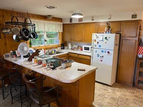15913 Lakeview Dr, Wolverine, MI 49799 photo 6