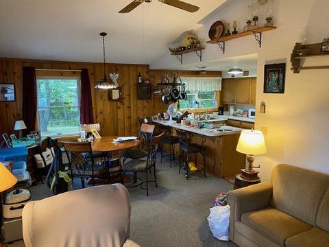 15913 Lakeview Dr, Wolverine, MI 49799 photo 7
