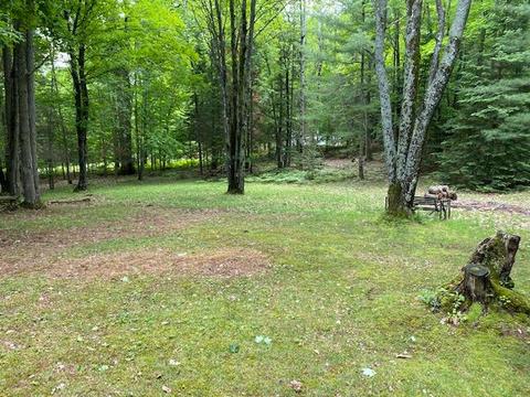 15913 Lakeview Dr, Wolverine, MI 49799 photo 16