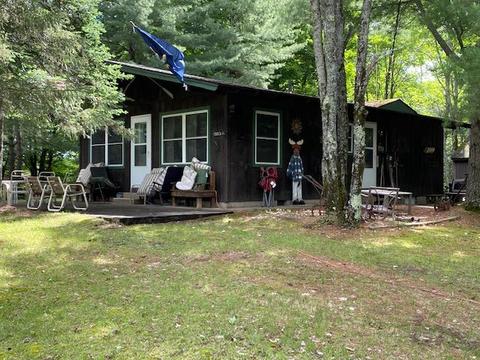 15913 Lakeview Dr, Wolverine, MI 49799 photo 1