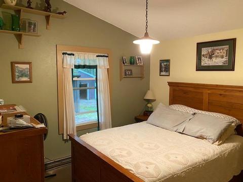 15913 Lakeview Dr, Wolverine, MI 49799 photo 8