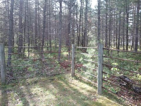 7492 Dudd Rd, Vanderbilt, MI 49795 photo 8