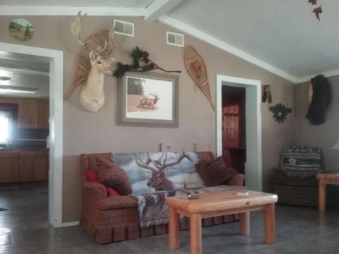7492 Dudd Rd, Vanderbilt, MI 49795 photo 21