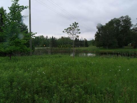 3139 Wurm Rd, Wolverine, MI 49799 photo 12