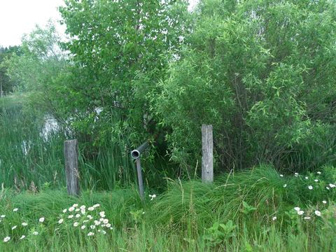 3139 Wurm Rd, Wolverine, MI 49799 photo 7