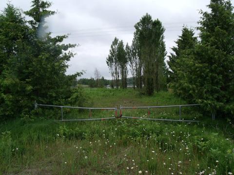 3139 Wurm Rd, Wolverine, MI 49799 photo 16