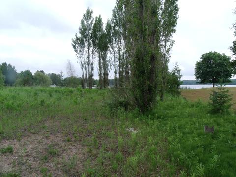 3139 Wurm Rd, Wolverine, MI 49799 photo 15