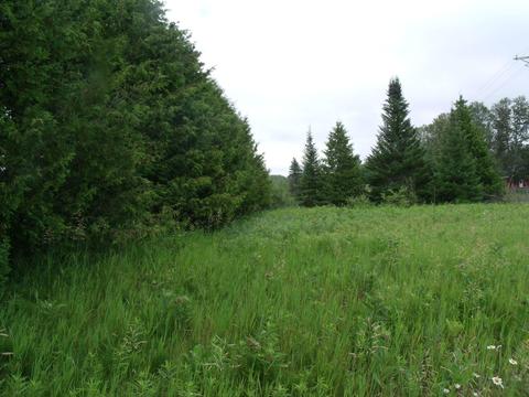 3139 Wurm Rd, Wolverine, MI 49799 photo 14