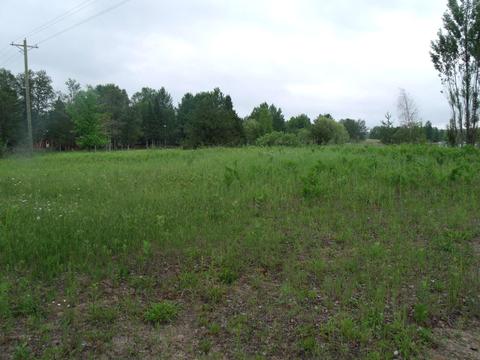 3139 Wurm Rd, Wolverine, MI 49799 photo 8