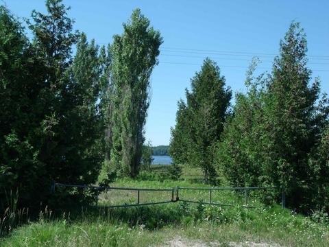 3139 Wurm Rd, Wolverine, MI 49799 photo 3