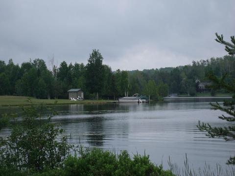 3139 Wurm Rd, Wolverine, MI 49799 photo 4