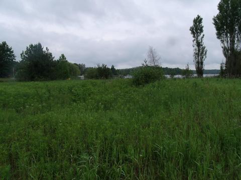 3139 Wurm Rd, Wolverine, MI 49799 photo 9