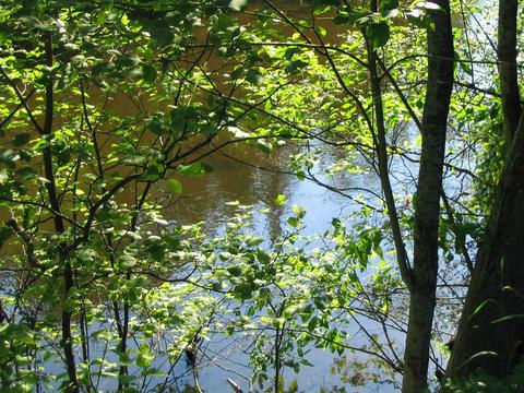 6474 Hanner Trail Grayling Mi 49738 Trl, Grayling, MI 49738 photo 13
