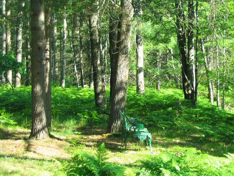 6474 Hanner Trail Grayling Mi 49738 Trl, Grayling, MI 49738 photo 34
