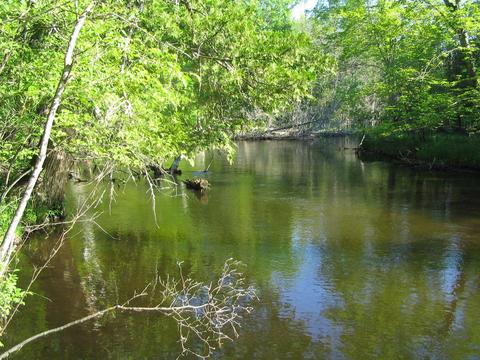 6474 Hanner Trail Grayling Mi 49738 Trl, Grayling, MI 49738 photo 9