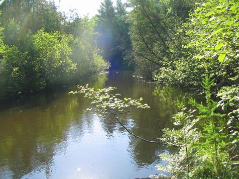 6474 Hanner Trail Grayling Mi 49738 Trl, Grayling, MI 49738 photo 10