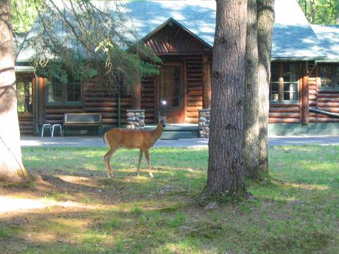 6474 Hanner Trail Grayling Mi 49738 Trl, Grayling, MI 49738 photo 12