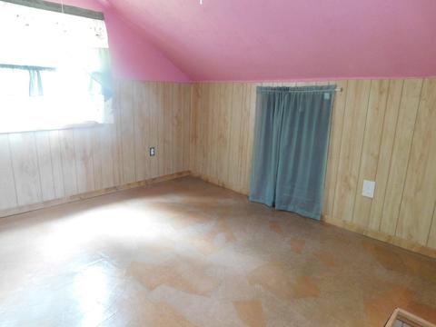 1259 Cauchy Rd, Mio, MI 48647 photo 10