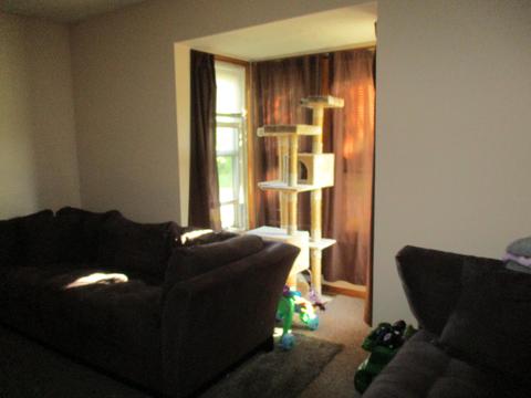 204 Spruce Street Grayling Mi 49738 St, Grayling, MI 49738 photo 25