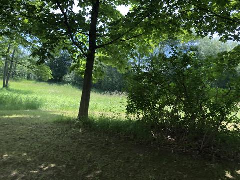 4457 Lance Lake Rd, Wolverine, MI 49799 photo 36