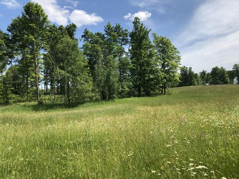 4457 Lance Lake Rd, Wolverine, MI 49799 photo 43