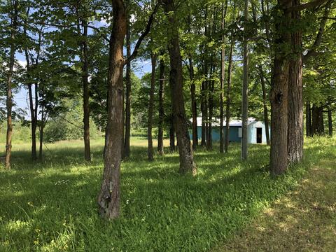 4457 Lance Lake Rd, Wolverine, MI 49799 photo 4