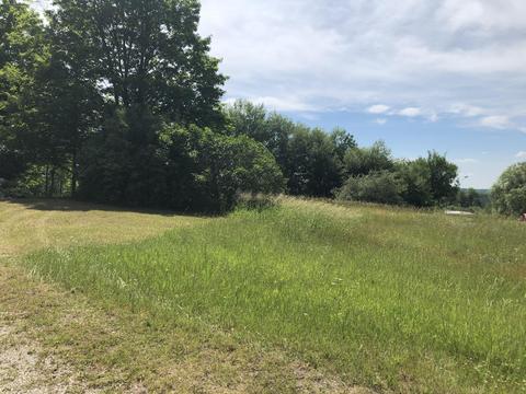 4457 Lance Lake Rd, Wolverine, MI 49799 photo 47