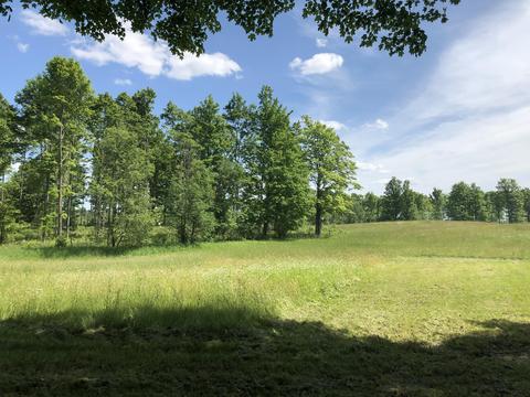 4457 Lance Lake Rd, Wolverine, MI 49799 photo 39