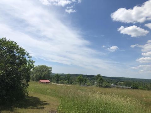 4457 Lance Lake Rd, Wolverine, MI 49799 photo 33