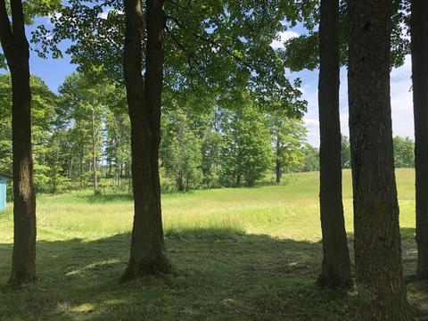 4457 Lance Lake Rd, Wolverine, MI 49799 photo 38