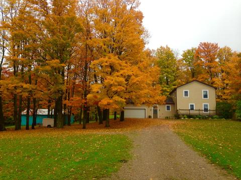 4457 Lance Lake Rd, Wolverine, MI 49799 photo 51