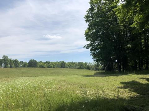 4457 Lance Lake Rd, Wolverine, MI 49799 photo 42
