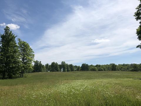 4457 Lance Lake Rd, Wolverine, MI 49799 photo 41