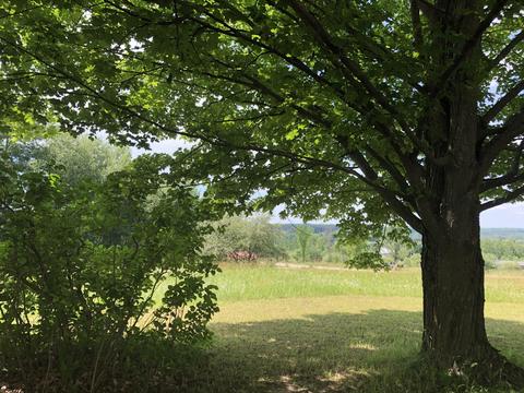 4457 Lance Lake Rd, Wolverine, MI 49799 photo 37