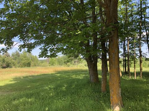 4457 Lance Lake Rd, Wolverine, MI 49799 photo 35