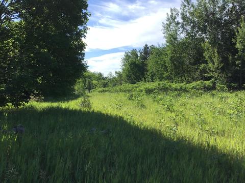 2734 Olson Rd, Cheboygan, MI 49721 photo 2