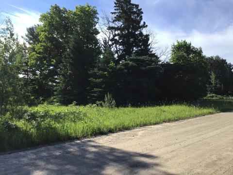 2734 Olson Rd, Cheboygan, MI 49721 photo 5