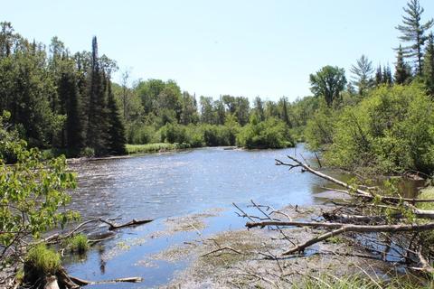 393 S Mcmasters Bridge Rd, Grayling, MI 49738 photo 5