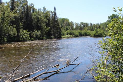 393 S Mcmasters Bridge Rd, Grayling, MI 49738 photo 55
