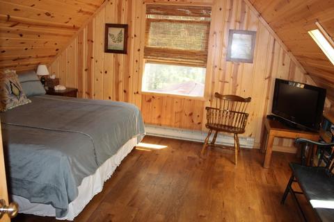 393 S Mcmasters Bridge Rd, Grayling, MI 49738 photo 18