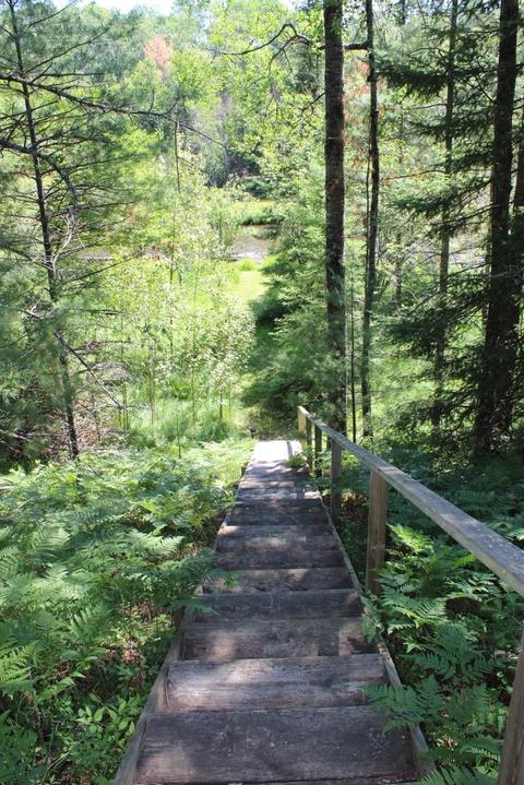 393 S Mcmasters Bridge Rd, Grayling, MI 49738 photo 53