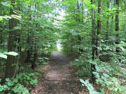11691 Adisson Trail Frederic Mi 49733 Trl, Frederic, MI 49733 photo 44
