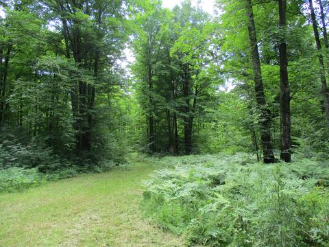 11691 Adisson Trail Frederic Mi 49733 Trl, Frederic, MI 49733 photo 48