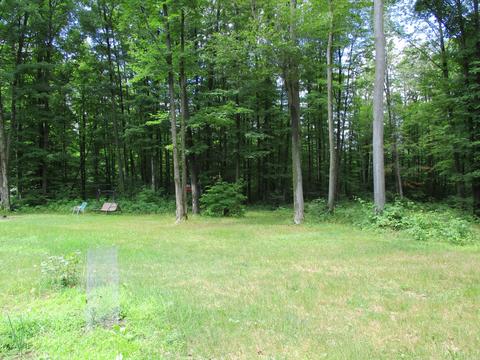 11691 Adisson Trail Frederic Mi 49733 Trl, Frederic, MI 49733 photo 40