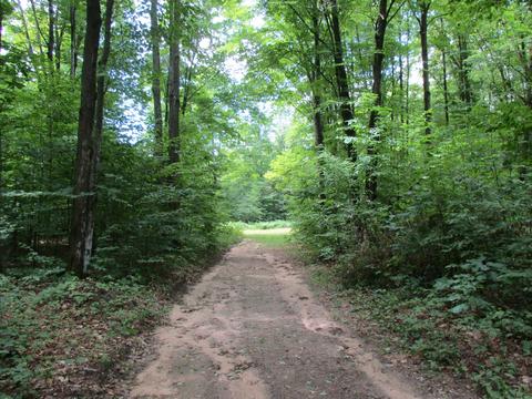 11691 Adisson Trail Frederic Mi 49733 Trl, Frederic, MI 49733 photo 59