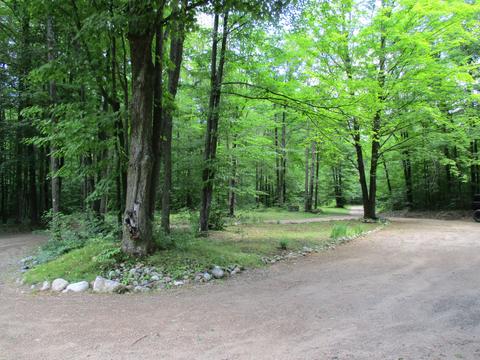 11691 Adisson Trail Frederic Mi 49733 Trl, Frederic, MI 49733 photo 64